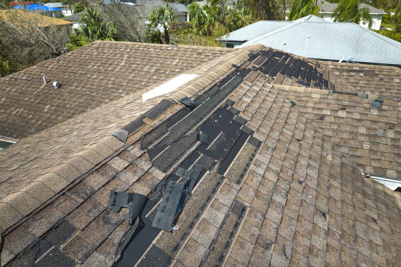 Shingle Replacement